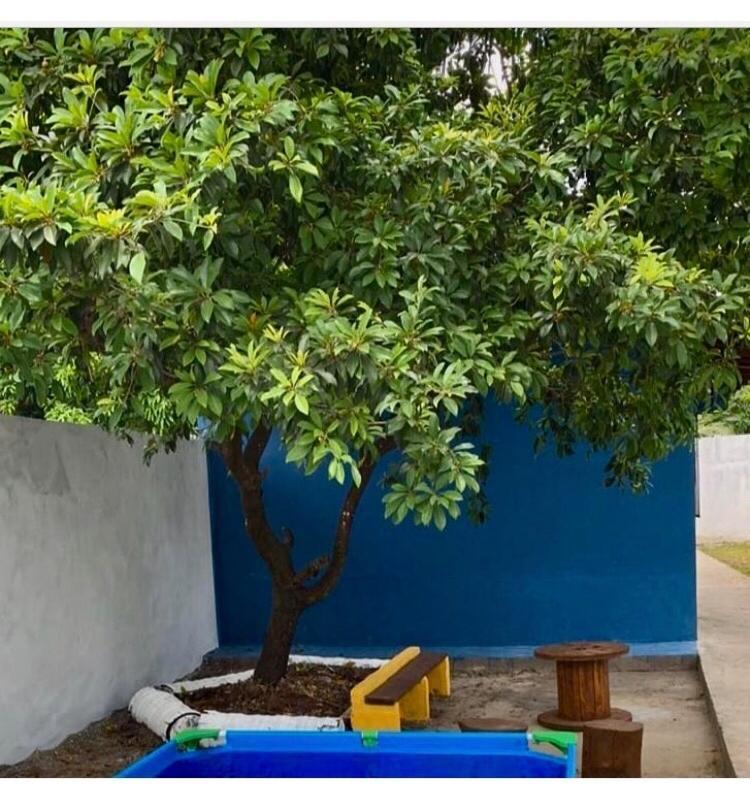 Vila Chale Da Vovo Soure Exteriér fotografie